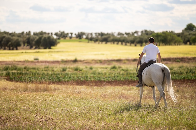 Back view of young male riding white horse in grassy meadow on cloudy day in countryside 