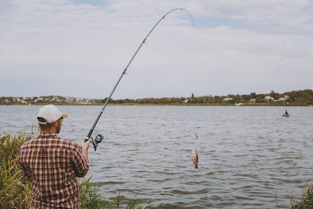 Back view Young unshaven man with fishing rod in checkered shirt, cap and sunglasses pulls out a fishing pole on lake from shore near shrubs and reeds. Lifestyle, recreation, fisherman leisure concept