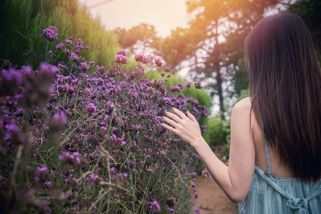 朝の紫色のバーベナの花に触れる女性の裏。
