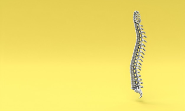 Backbone op gele achtergrond. 3D render.