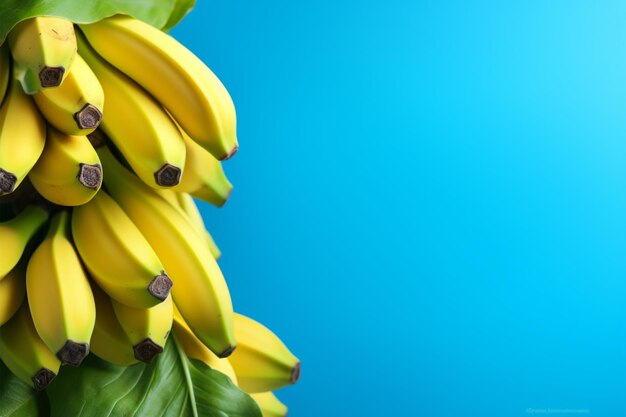 A backdrop of lush bananas against a serene blue banner