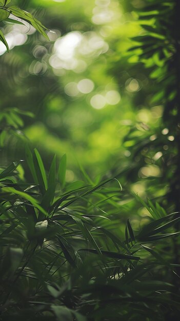 Photo the backdrop of lush greenery is softly focused