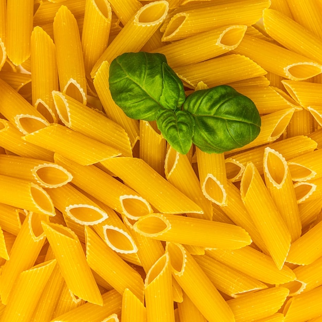 A backgorund of penne integral pasta noodels with basil. taken in studio with a 5d mark iii