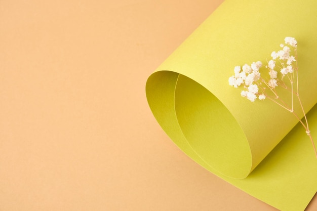 Foto backgroud di foglio di carta ruvida arrotolata verde e piccoli fiori bianchi primo piano mock up presentazione dei tuoi prodotti, sfondo beige