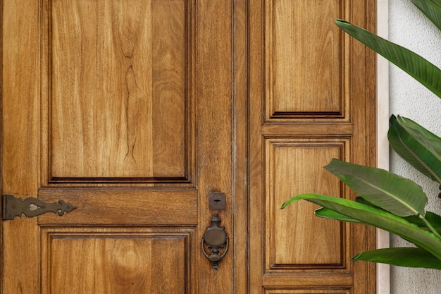 写真 背景 - 美しい木製のドアと近くの植物
