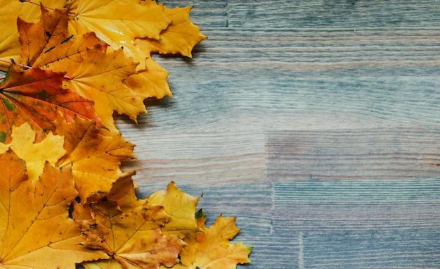 Photo background of autumn leaves