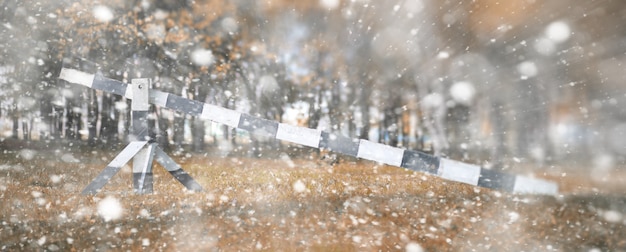 写真 最初の雪の日の背景秋の公園