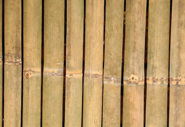 Background of bamboo stalks lined up as a wall