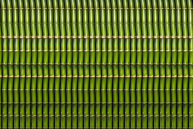 Background of bamboo