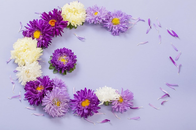 Background of beautiful asters on paper sheet