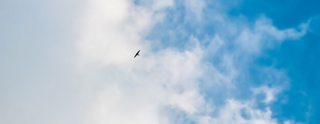 白い雲と空飛ぶ鳥と青い空の背景