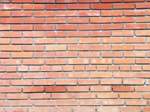 background brick wall in a bright sunny day