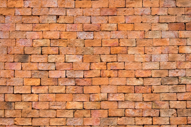 Background brick wall.