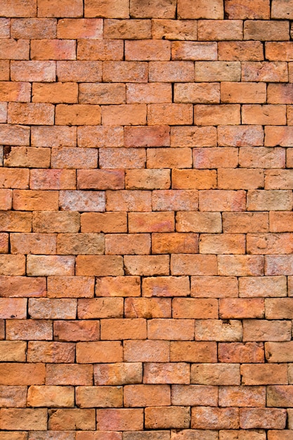 Background brick wall.