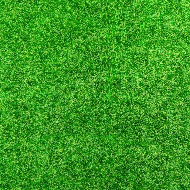 Background of bright green grass