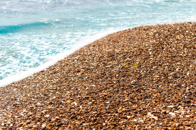 Background of brown sea pebbles with parts of white seashells.