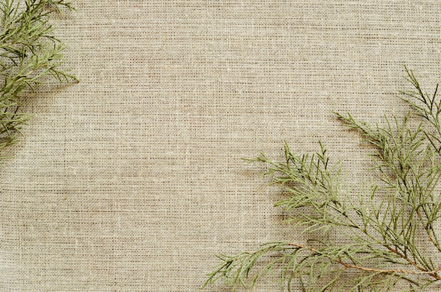 Background of canvas with branches