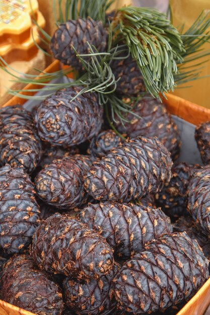 Background of cedar cones. Medicinal plants for immunity