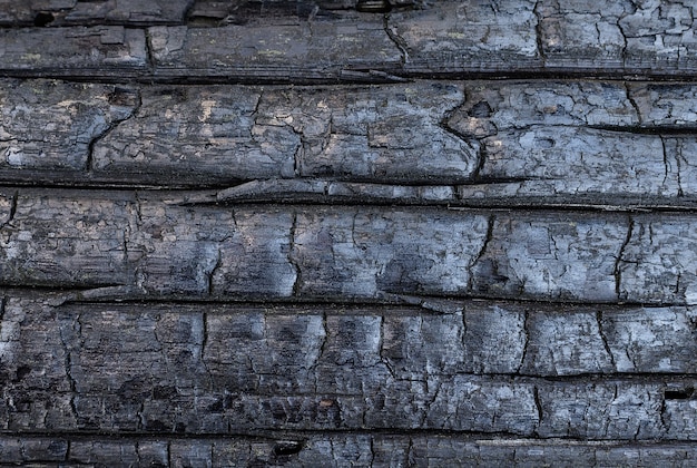 Background of charred wood Natural backgrounds and textures