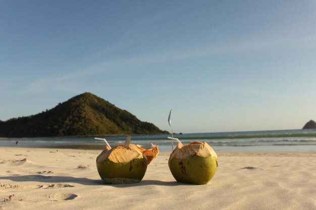 Photo background of coconut on the beach