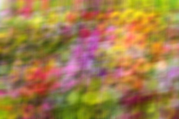 Photo background of colorful blurred bright colors