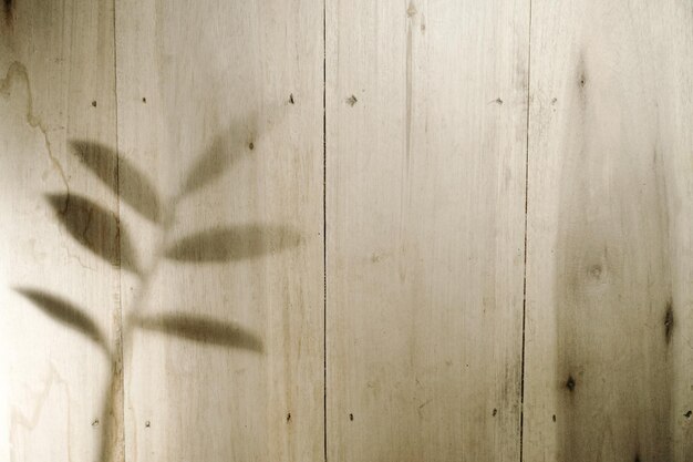Photo background concept wooden wall with plant shadow
