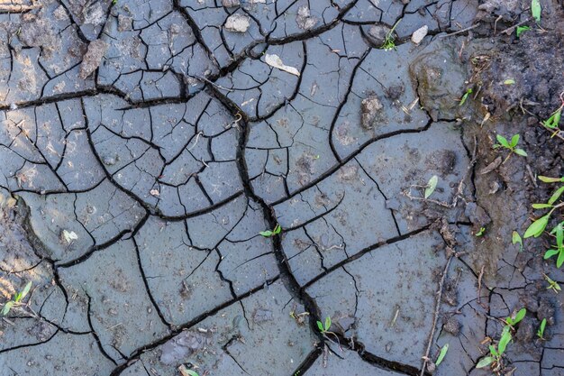 Sfondo del terreno asciutto incrinato il riscaldamento globale