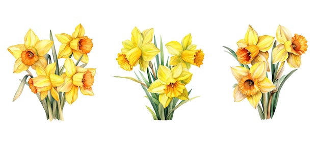 Background daffodil flowers watercolor ai generated easter leaf field sun banner orange background daffodil flowers watercolor illustration
