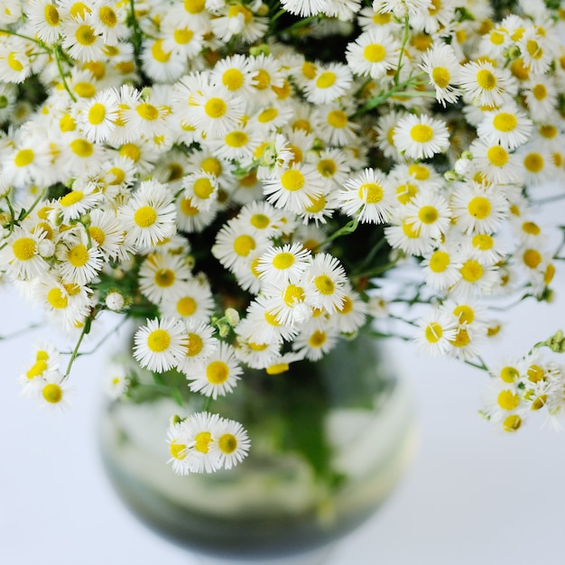 Background daisy in a vase