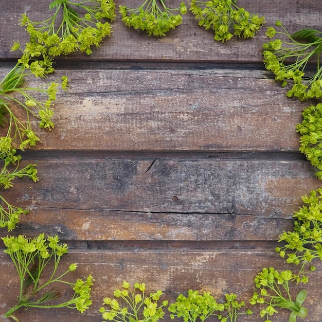 Background of dark horizontal wooden planks framed with green maple flowers Twigs leaves flowers