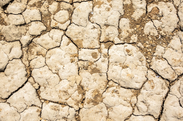 Sfondo di terra secca di crack durante la siccità con una buona consistenza