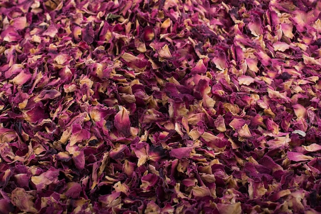 Background of dried rose petals