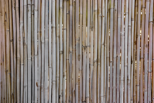 Background of dry bamboo arranged vertically