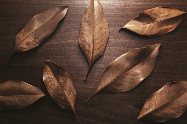 Background of dry brown leaves on a wooden table