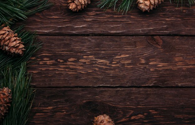 Background of fir branches and cones