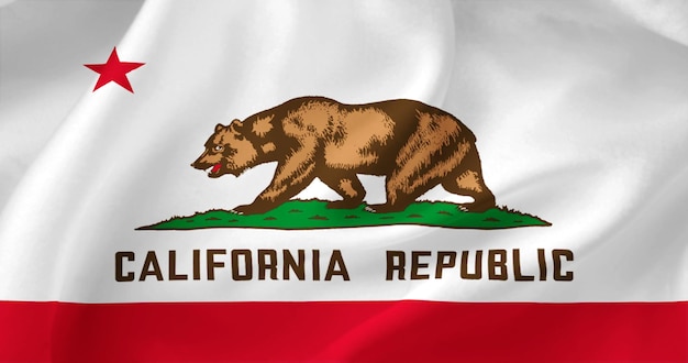 Background of the flag of the American state of California Illustration Texture