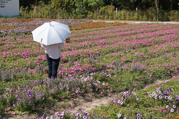 観光客が訪れて写真を撮るための花のプランテーションの背景