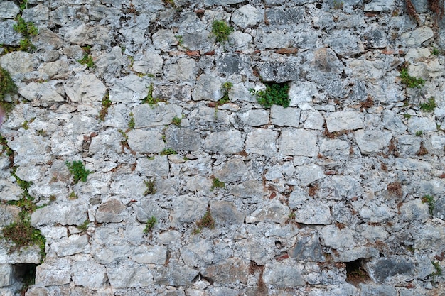 Foto sullo sfondo sotto forma di un vecchio muro di pietra