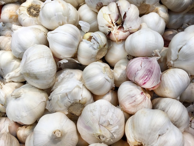 Background of Fresh Garlic