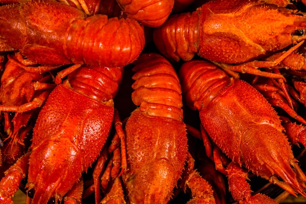 Background of fresh red boiled crayfishes