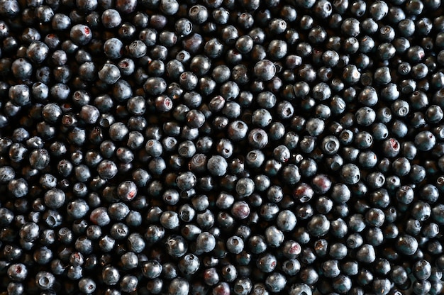 Background of fresh ripe bilberries