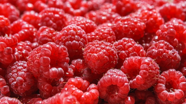 Background of fresh, ripe, sweet and juicy raspberries