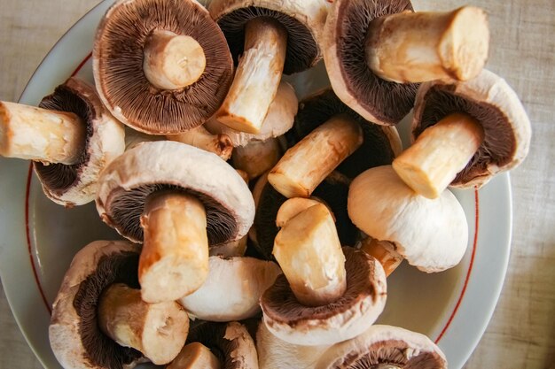 Background of fresh whole mushrooms closeup