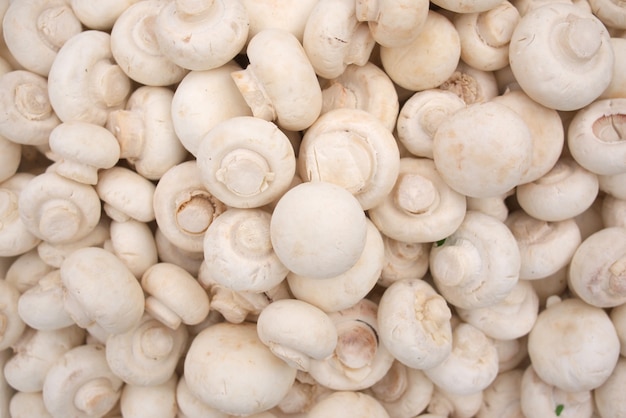 Background of fresh whole mushrooms