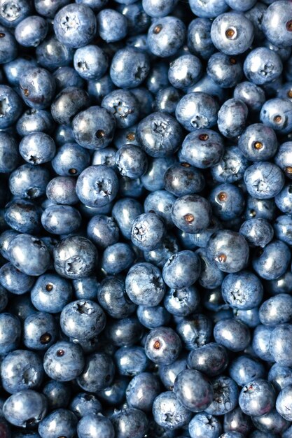 Background from blueberries. Close up. Healthy lifestyle