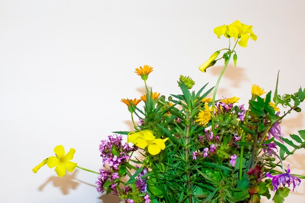 野生の花の花束からの背景白地に明るい花の美しい花束