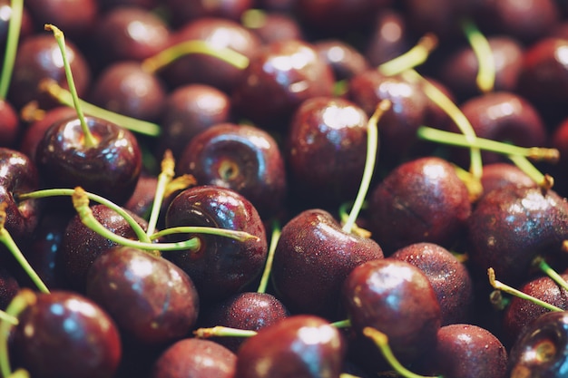 Background from Close up of pile of ripe cherries