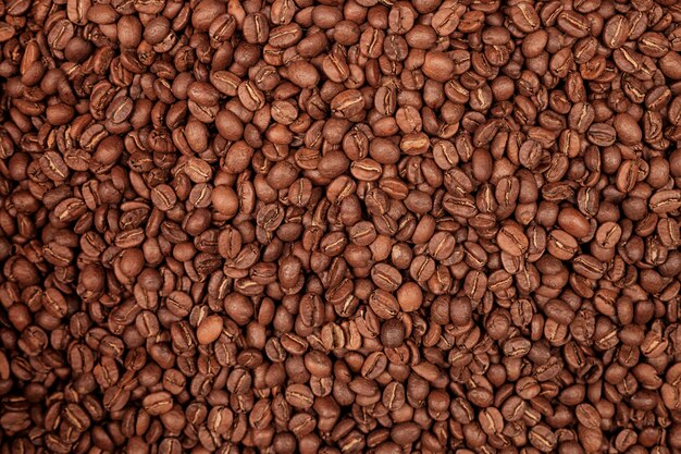 신선한 볶은 커피 콩의 배경입니다.