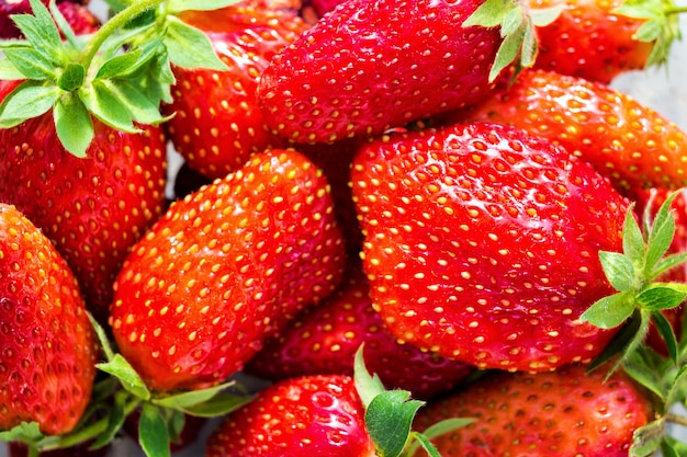 Background from freshly harvested strawberries