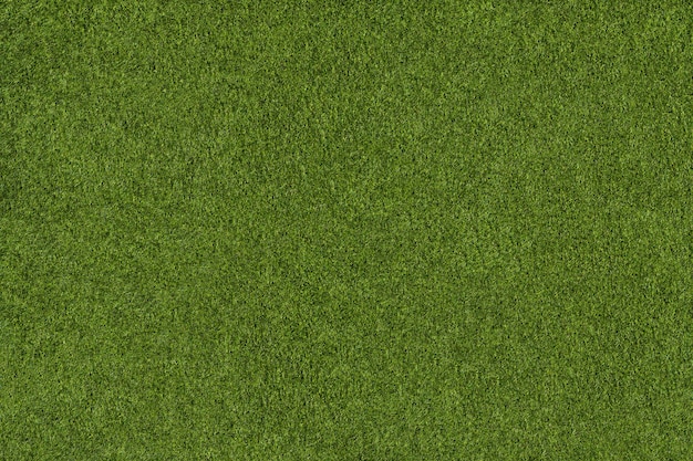 Background from green grass